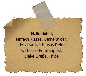 Hallo Nobbi,
einfach klasse, Deine Bilder. 
Jetzt wei ich, was Deine
wirkliche Berufung ist.
Liebe Gre, Hilde