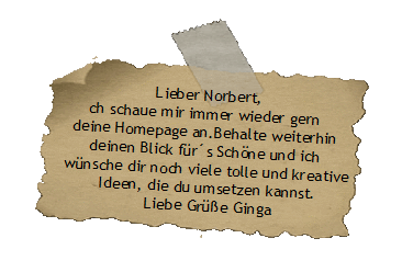 Lieber Norbert,
ch schaue mir immer wieder gern 
deine Homepage an.Behalte weiterhin 
deinen Blick frs Schne und ich 
wnsche dir noch viele tolle und kreative 
Ideen, die du umsetzen kannst.
Liebe Gre Ginga