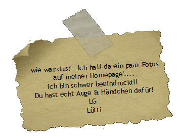 wie war das? - Ich hab' da ein paar Fotos
auf meiner Homepage'....
ich bin schwer beeindruckt!! 
Du hast echt Auge & Hndchen dafr!
LG 
Ltti